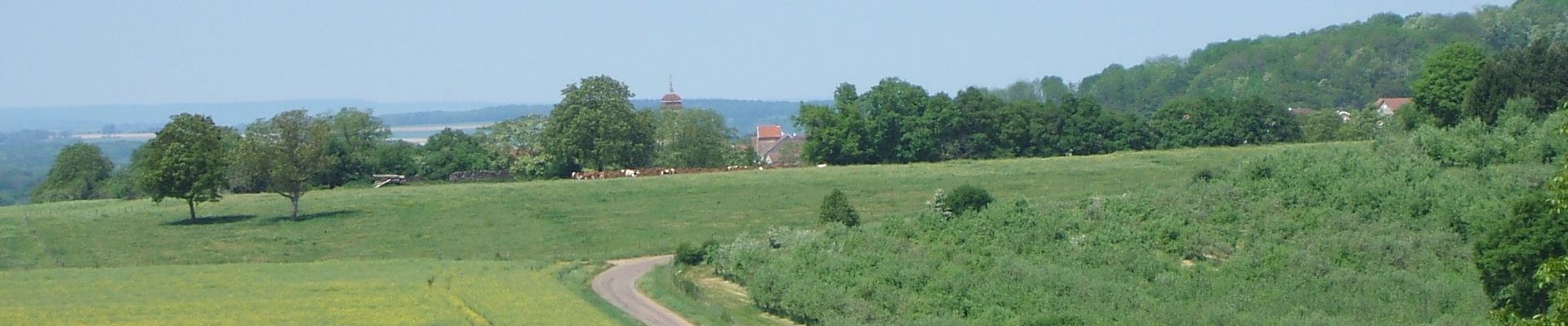 DSCF0336